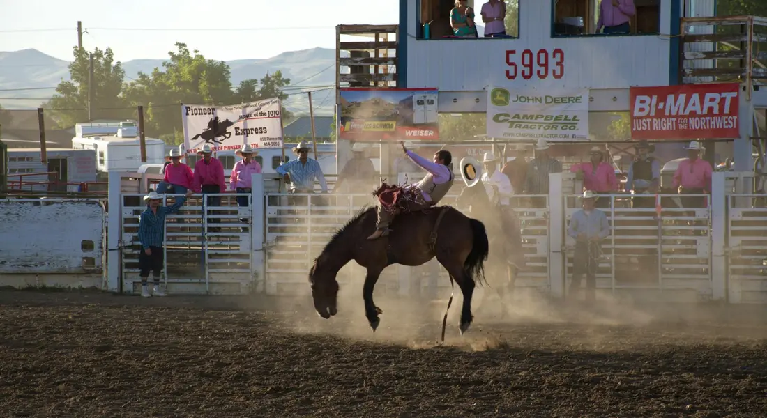 A horse and rider in a dusty rodeo arena, with spectators behind a fence and a judging or announcer stand in the background