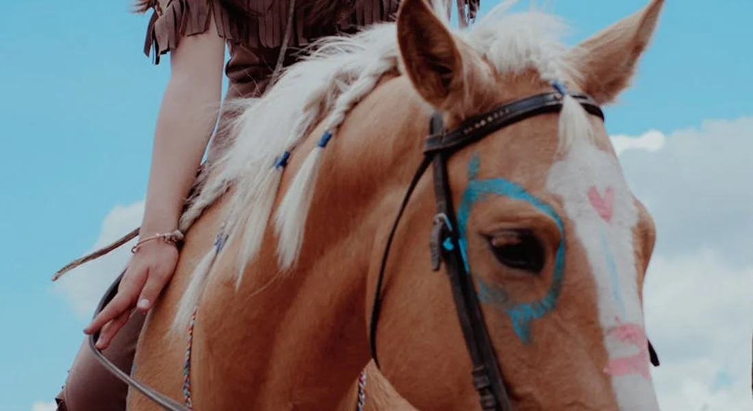 Close-up of an American Paint Horse with a rider on its back, blue sky background and blue facial markings.