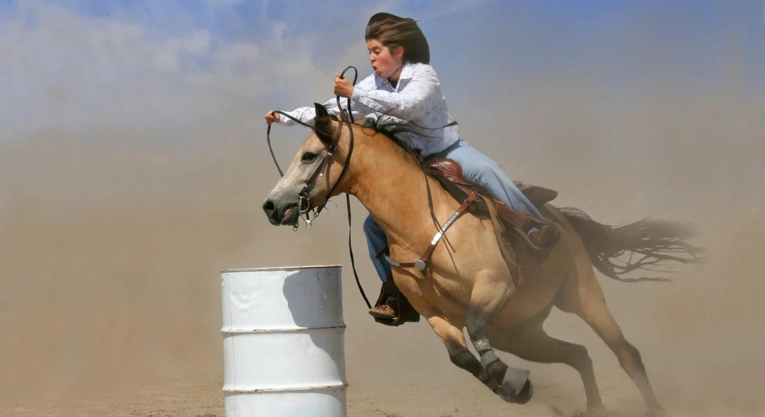 A buckskin American Quarter Horse and rider ride through a dusty arena, jumping a barrel obstacle, illustrating trail-ready versatility and dependable partnership.