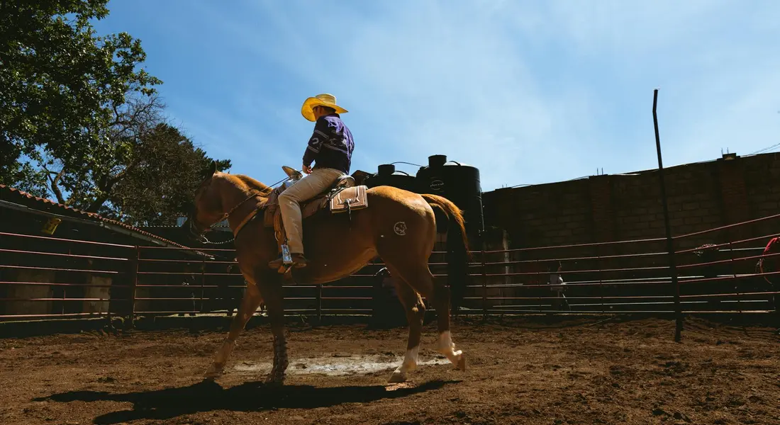 Horse and rider in a dirt arena surrounded by wooden fencing.