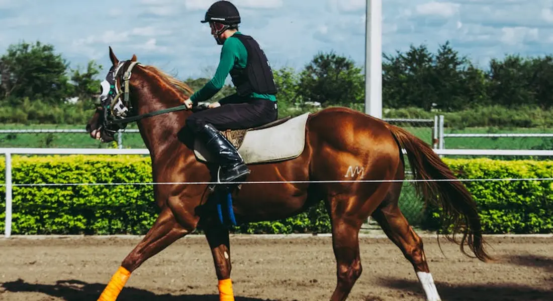 Rider in helmet and protective vest on a bay horse with orange leg wraps in an outdoor riding arena.
