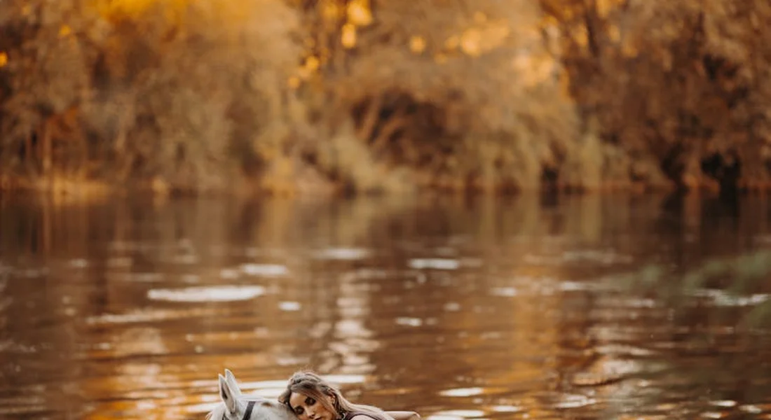 Dog swimming in a shallow autumn creek with orange foliage in the background