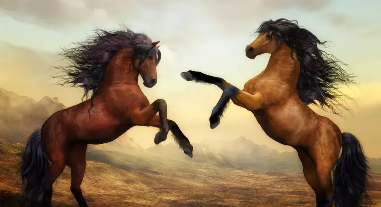 Two horses rearing and facing each other in a windswept landscape, illustrating the debate between barefoot trimming and traditional shoeing in hoof health.