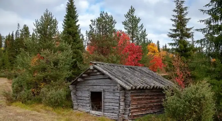 Weathered wooden barn surrounded by vibrant autumn foliage