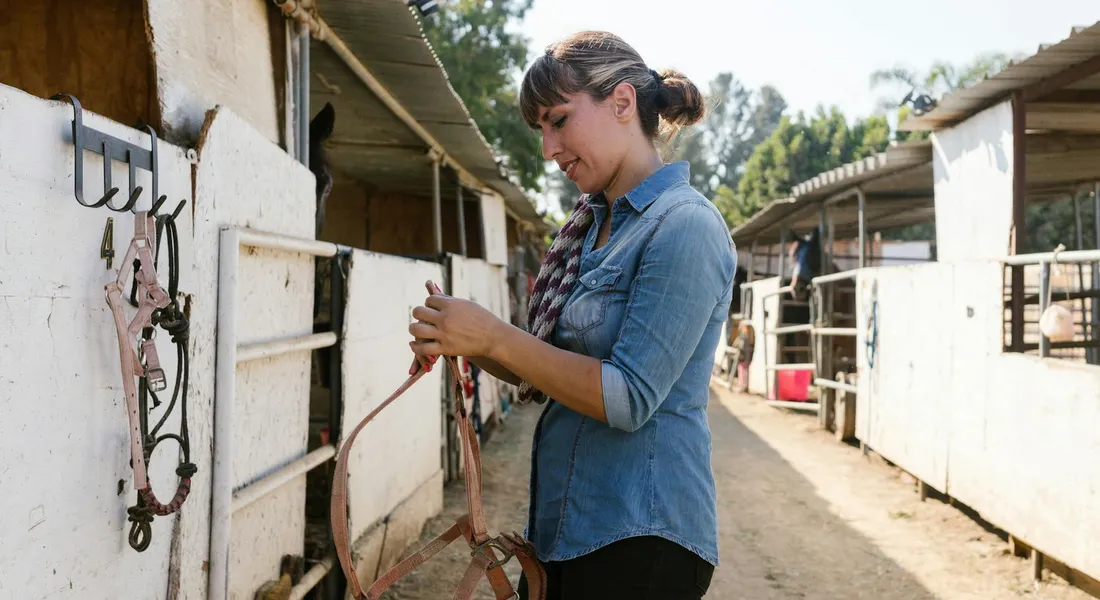 A person wearing a denim shirt stands in a horse barn, handling a halter near a stall while a horse is visible in the adjacent stall.