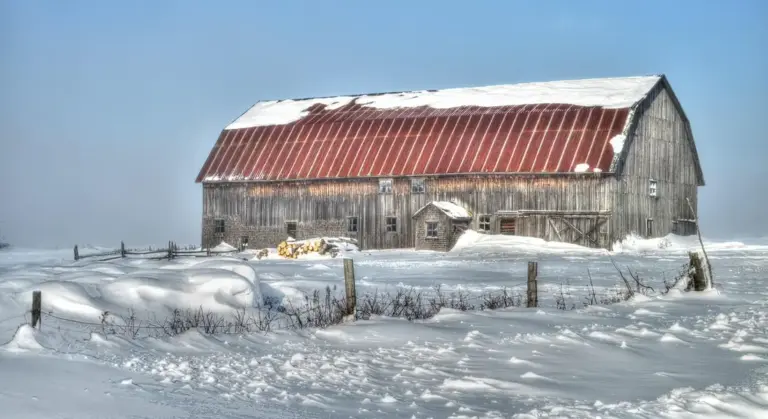 Snow-covered barn with a red corrugated metal roof in a rural field, wooden fence posts in the foreground under a clear blue sky.
