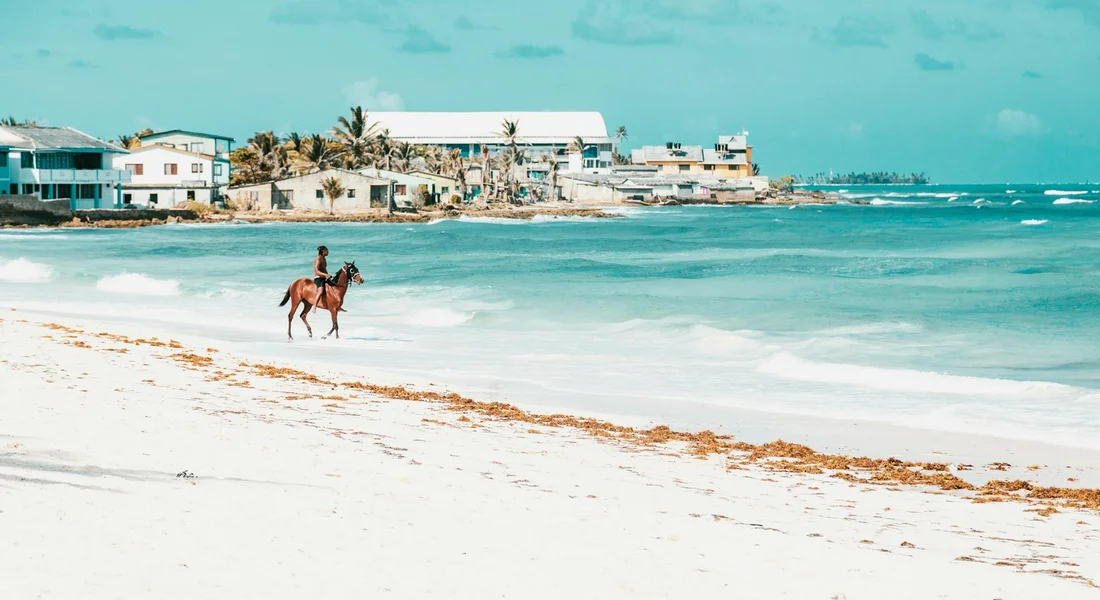 A horse and rider walking along a white-sand beach with turquoise water and houses in the background
