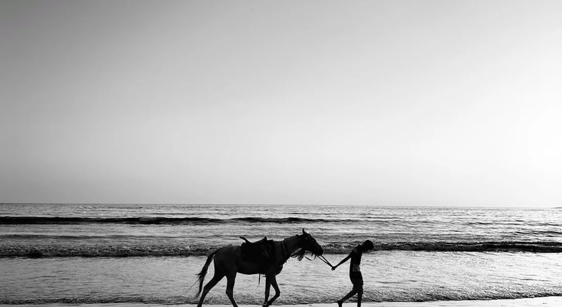 A horse is led by a person along a beach at the shoreline in black and white.