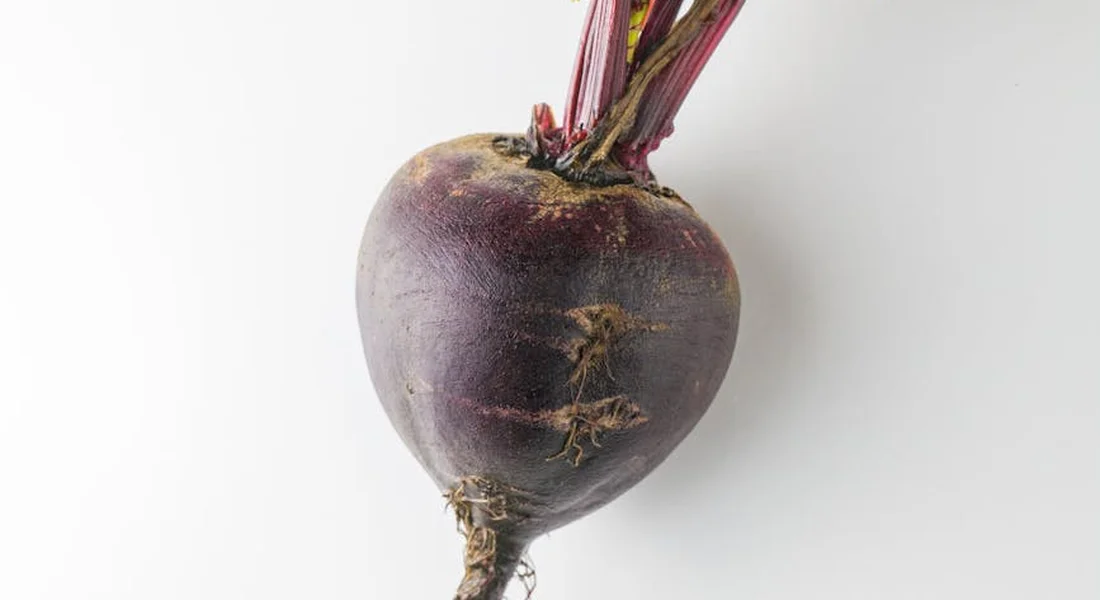 Fresh purple beetroot with green stems on a white background