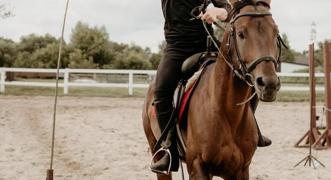 A rider on a brown horse in a training arena demonstrates calm, connected communication as they ride together, highlighting partnership over force.