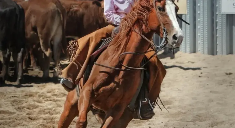 A rider on a chestnut horse moves through a sandy arena, with other horses standing in the background.