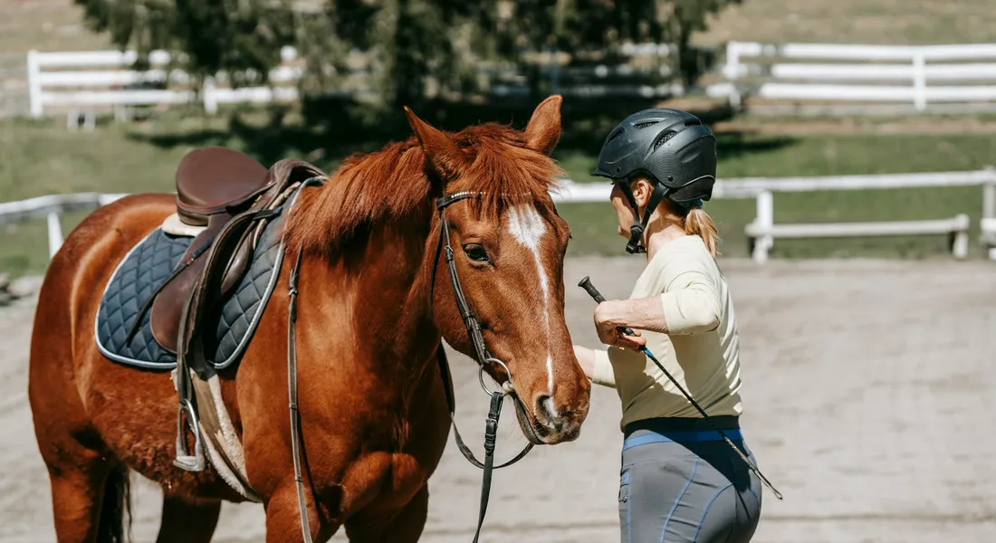 A rider in a helmet and light-colored top stands beside a brown horse in an outdoor arena, inspecting the horse's bridle.