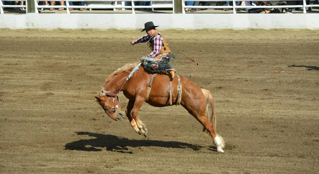 Rider on a bucking bronco during a rodeo in a dusty arena