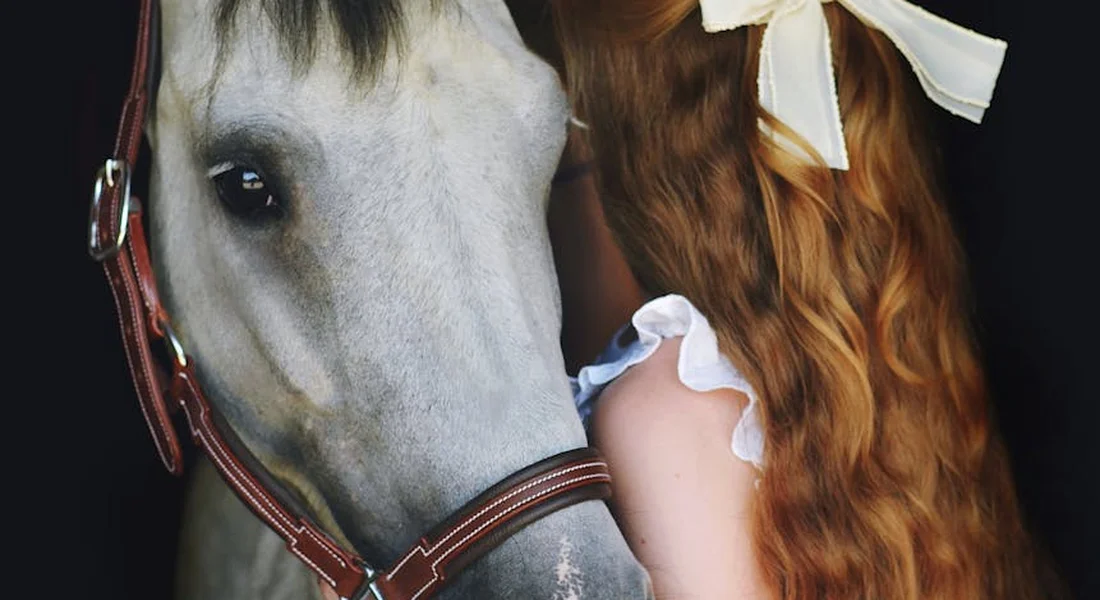 Close-up of a pale gray horse wearing a brown leather bridle, beside a person with long red hair.