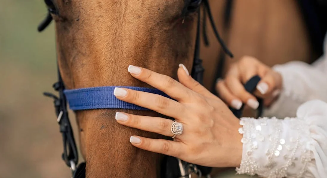 Close-up of a hand with a ring gently resting on a horse's blue halter, illustrating calm, affectionate contact