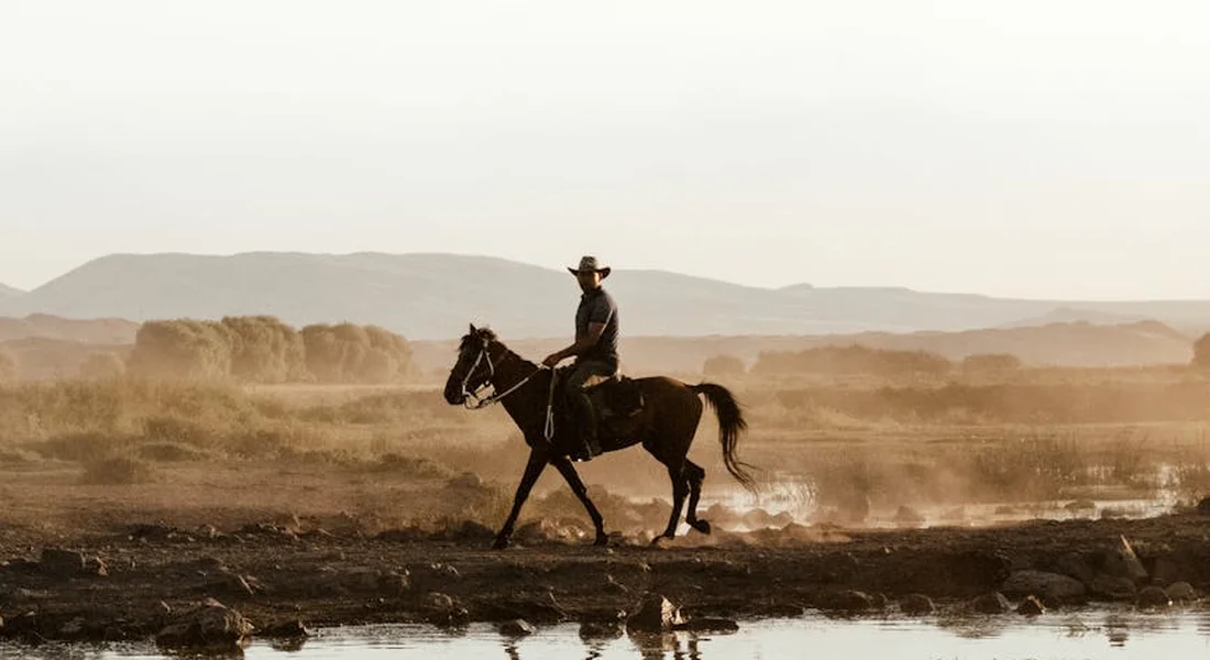 A rider on a large draft horse traverses a muddy, sunlit landscape at dusk, highlighting the calm, steady presence of a Clydesdale.