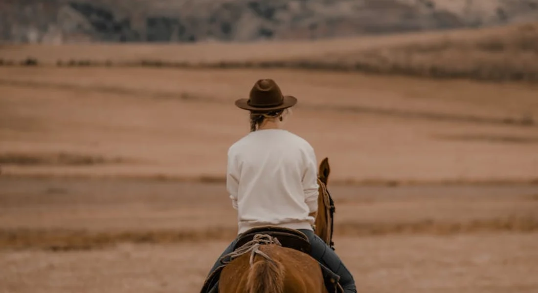 Rider on horseback viewed from behind in a cutting arena, wearing a cowboy hat and white shirt.