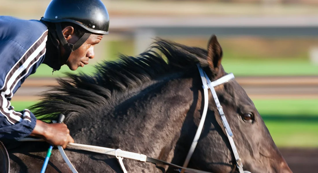 A jockey wearing a blue helmet and jacket rides a dark horse at high speed on a racetrack, showcasing endurance and speed.