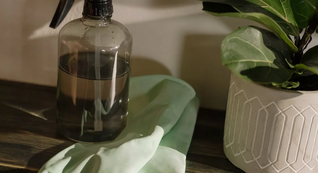 A clear spray bottle containing liquid sits on a wooden surface beside a pair of light green gloves and a potted plant.