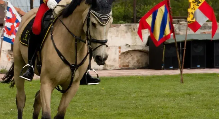 A dressage horse and rider perform movements on a grassy arena with colorful flags in the background.