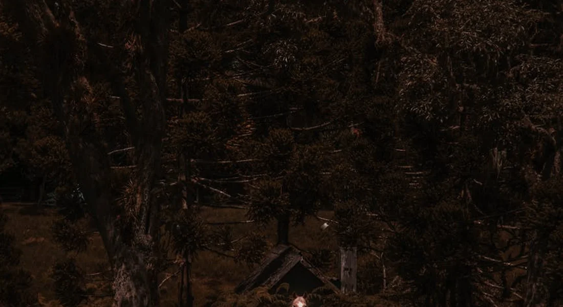 Dim nighttime forest scene with tall trees and a small cabin in the distance.