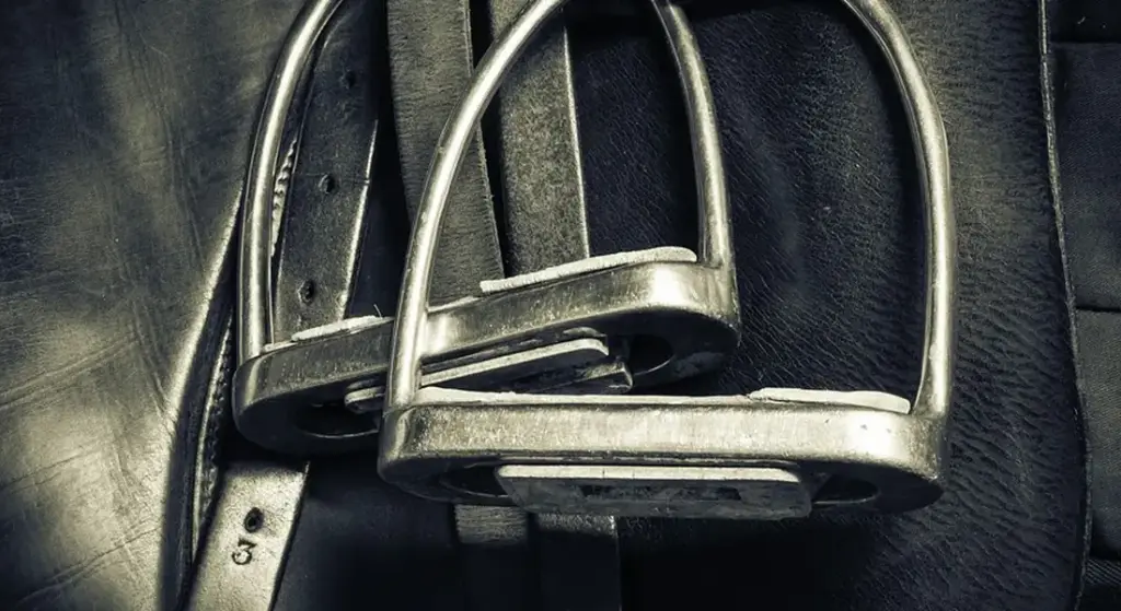 Essential Horse Medications and Health Products for Your Tack Room