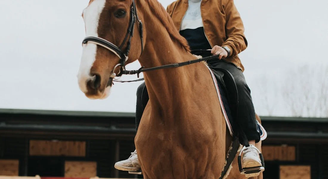 A rider on a chestnut horse wearing a bridle, mounted outdoors at a stable.