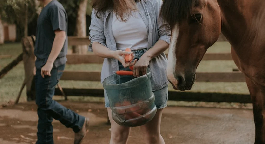 A person stands beside a horse and holds a bucket of feed in a stable or paddock, with another person walking in the background.