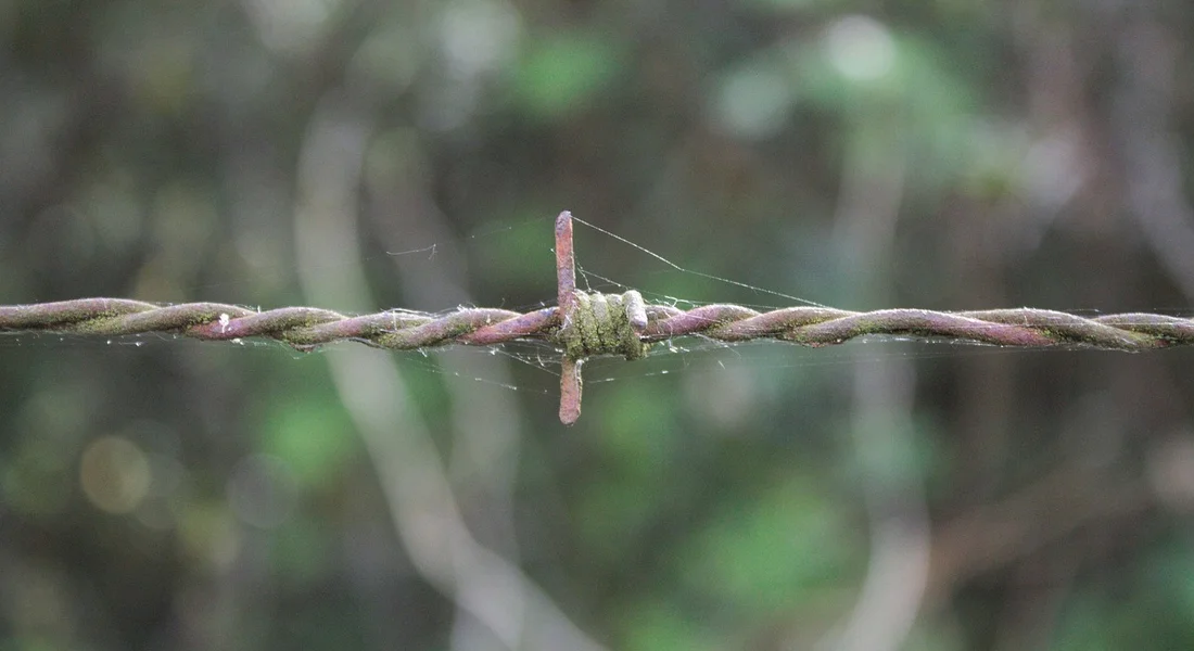 Close-up of weathered, rusted wire fence with a corroded connector showing wear and potential failure.