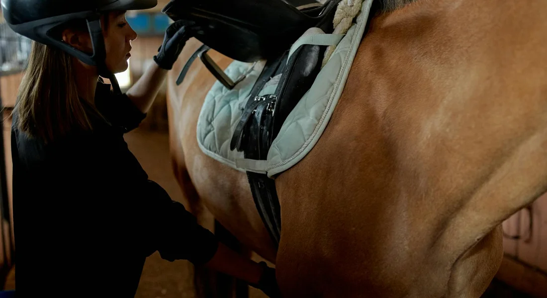 A person wearing a helmet guides a horse during a clicker training session, preparing for basic, engaging exercises.