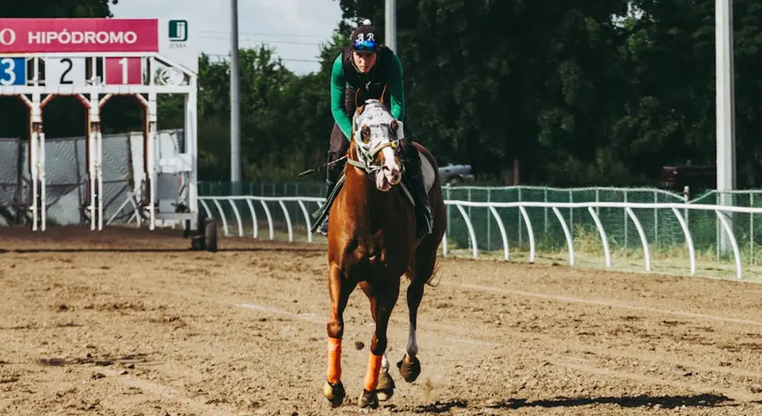 Rider in a green jacket on a gaited horse moving on a dirt track with a scoreboard in the background