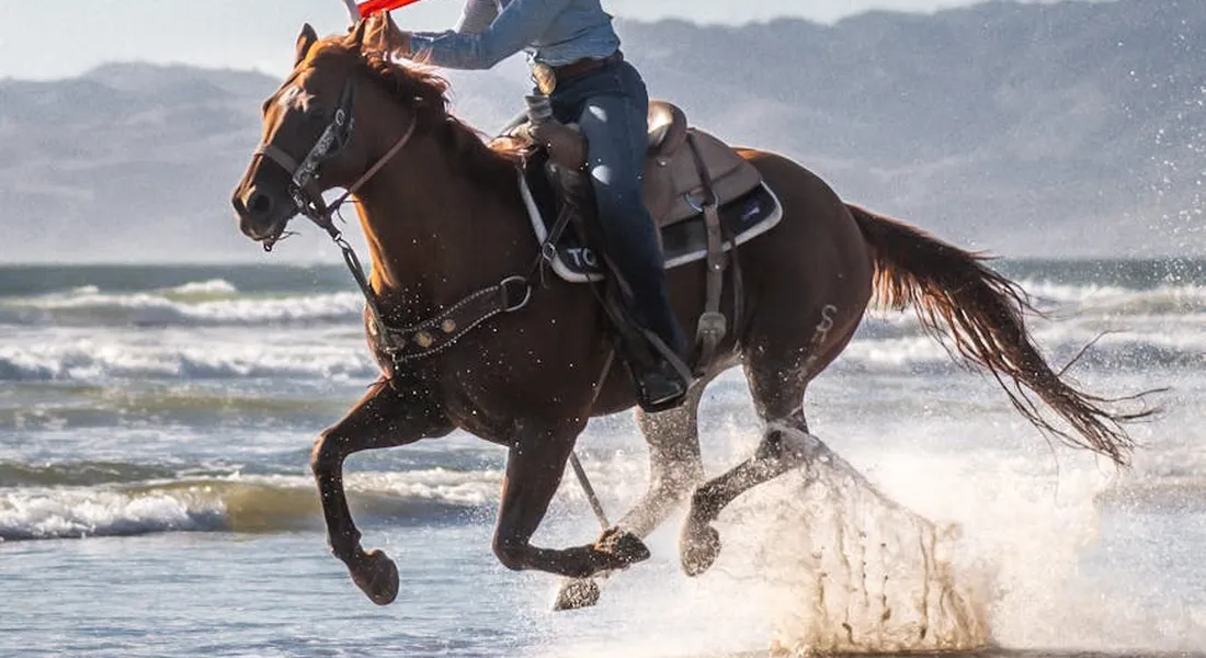 Horse and rider leaping through shallow water near a shoreline, splashing as they move forward.