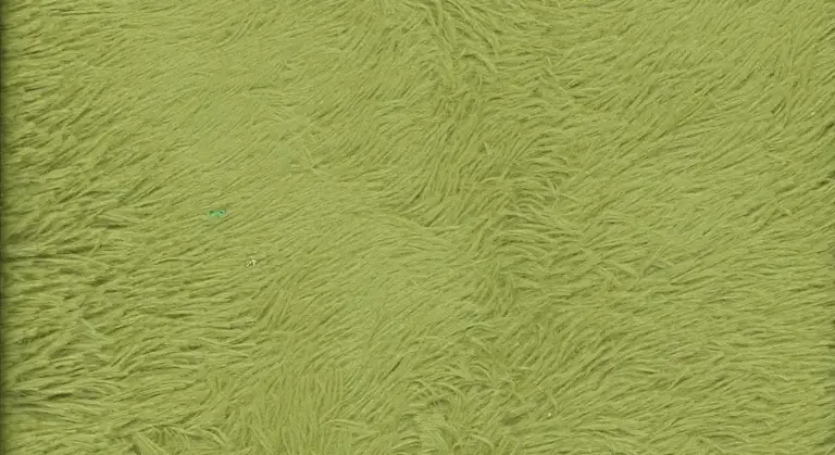 Close-up texture of a green horse blanket fabric