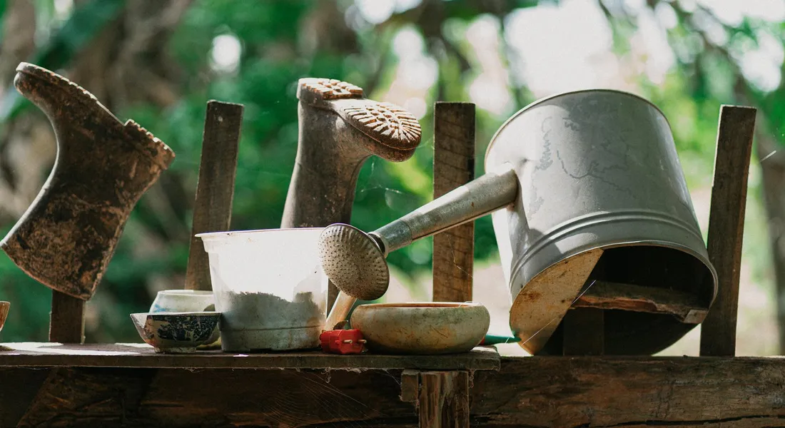 Assorted grooming tools, including curry combs, brushes, a metal bucket, and scoops, arranged on a wooden rail with a green, blurred background.