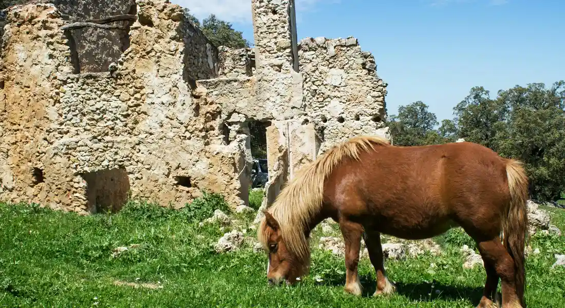 A brown horse with a pale mane grazes in a green field near ancient stone ruins under a blue sky.