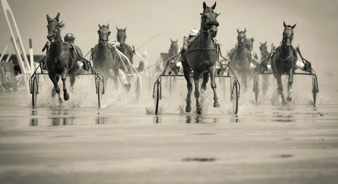 Harness racing horses pulling sulkies on a wet track, splashing water as they race toward the camera.