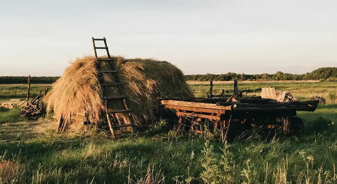 A rural field featuring a large round hay bale, a wooden ladder leaning on it, and farming equipment nearby.