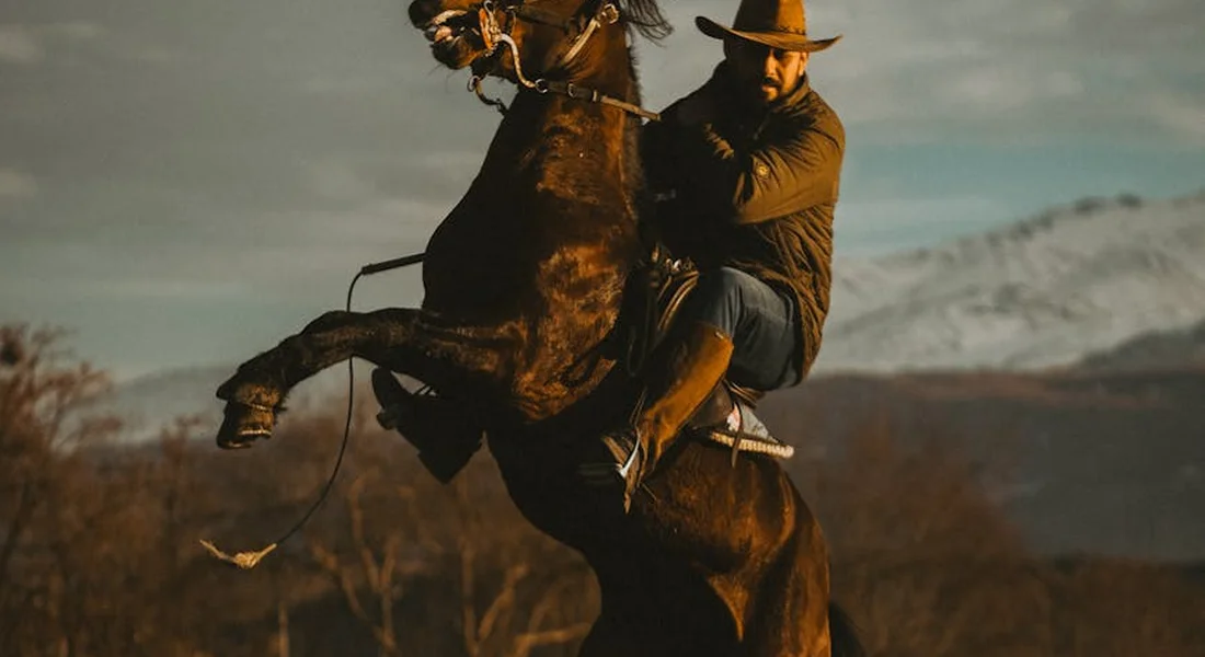 A rider on a dark horse rearing on its hind legs in a rural landscape.