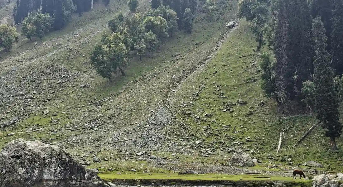 Sloped hillside pasture with scattered rocks and trees, a narrow path up the slope, and a horse standing near a small pond at the base.