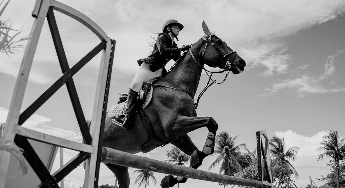A rider wearing a helmet guides a horse over a tall homemade wooden jump outdoors, with palm trees in the background.