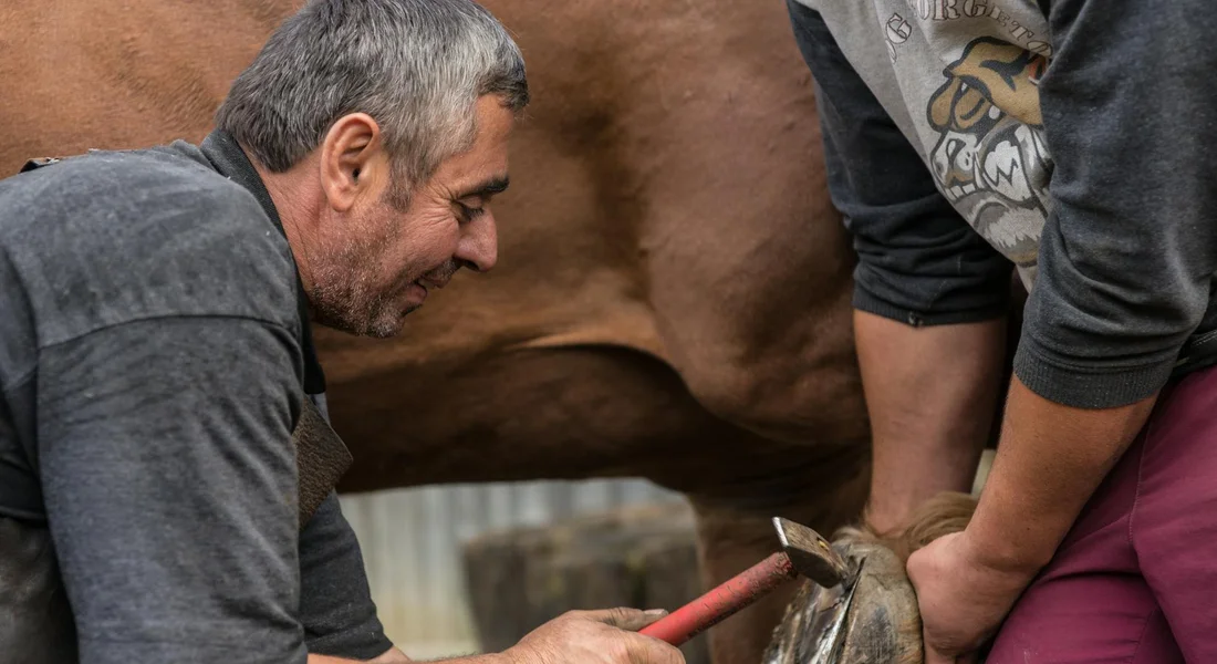 Two people examine a horse's hoof up close; a hoof rasp rests nearby.