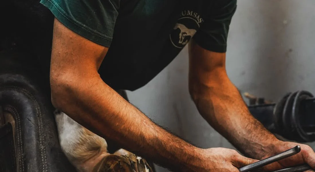 Close-up of a person trimming a horse's hoof with a rasp, focusing on hands and hoof in a workshop setting.