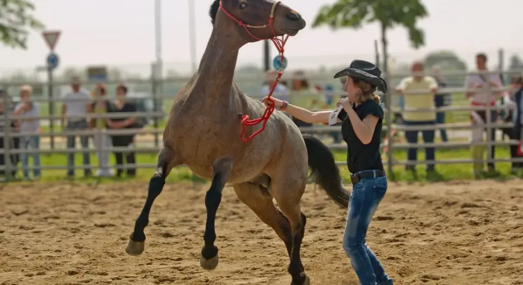 How to Stop a Horse from Bucking and Calm a Stressed Horse: Safe, Effective Methods