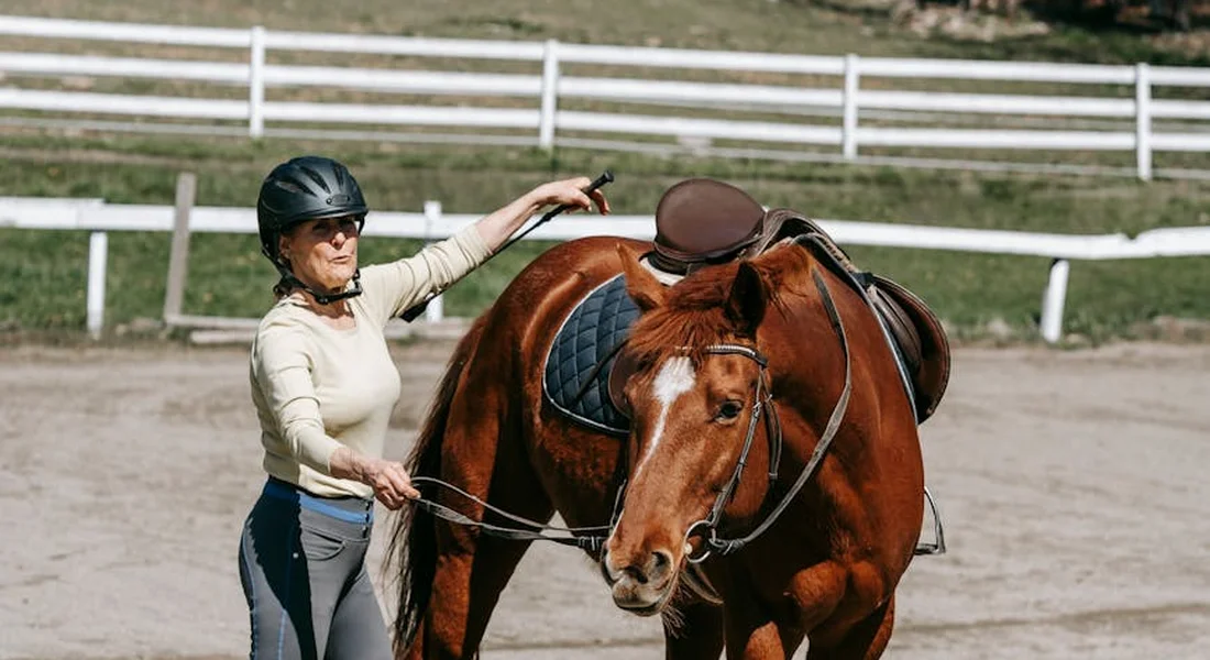 Trainer wearing a helmet guiding a chestnut horse in an outdoor arena with white fences; the horse is saddled and bridled during groundwork.