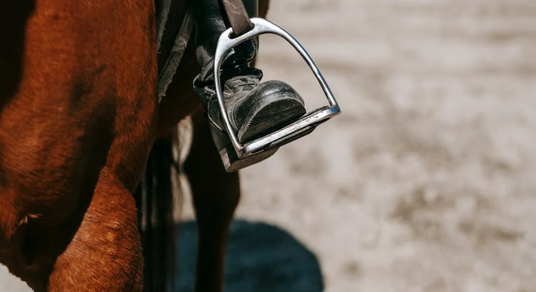 Close-up of a horse's saddle with a metal stirrup hanging down, part of the horse's brown body visible on the left