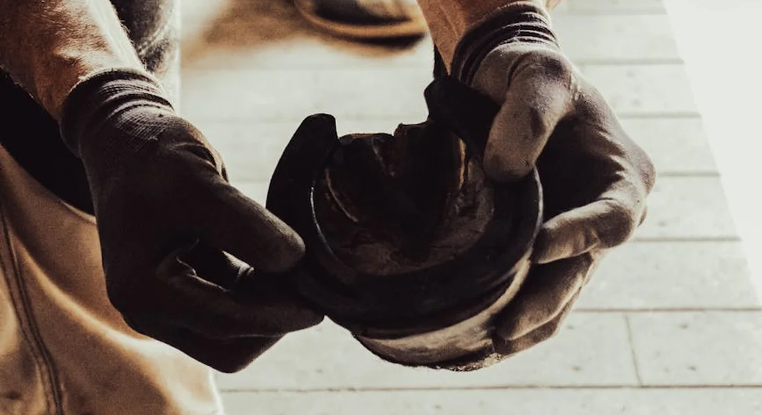 Close-up of a farrier's gloved hands holding a horse's hoof for inspection