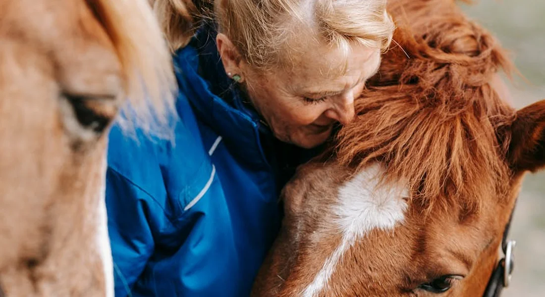 A person in a blue jacket gently pats a chestnut horse, close-up on their heads and neck.