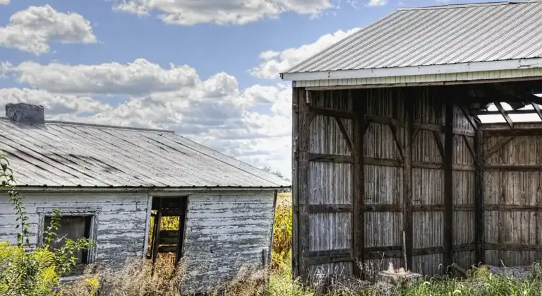Weathered rural outbuildings with a metal-roofed open-sided run-in shed on the right, grass and brush around, illustrating shelter options for horses.
