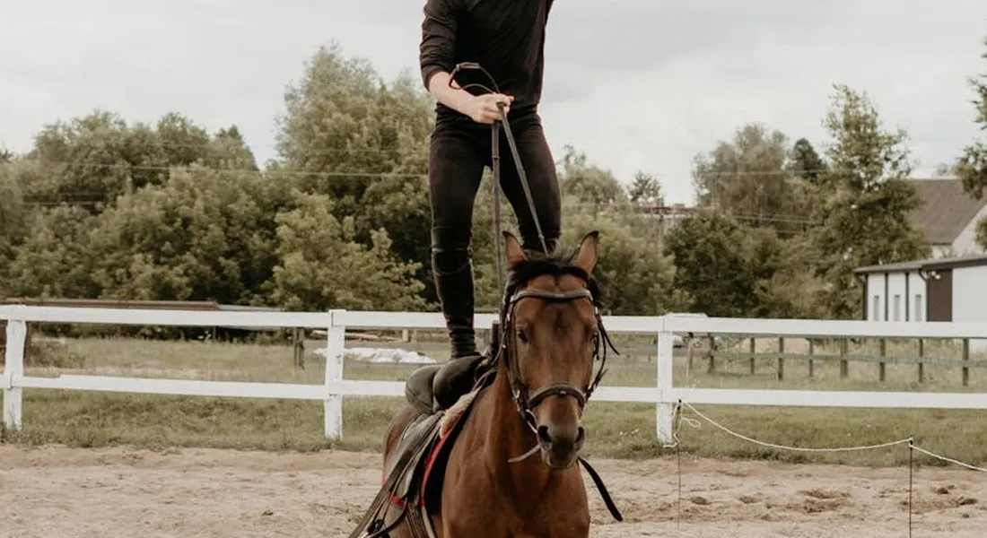 Rider standing on a horse's back with reins in an outdoor arena, practicing balance.