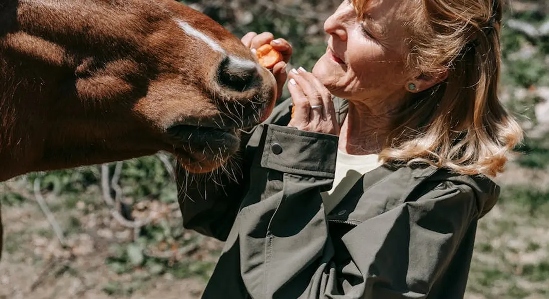 A person in a green jacket feeding a horse outdoors.
